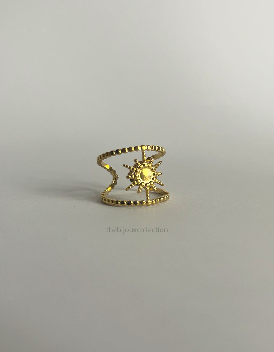 Sunny